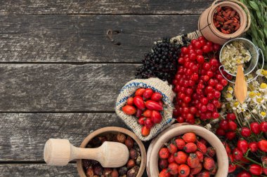 Medicinal plants and herbs composition: Dog rose, bunch branch Rosehips, types Rosa canina hips, essential oil. bunch, dried flowers of linden and chamomile elderberries and goji berries. clipart