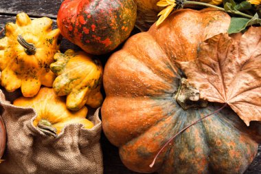 Mutlu Şükran günü kavramı - kabaklar eski ahşap ile geleneksel tatil yiyecek.