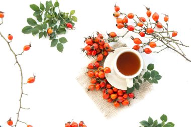 Şifalı bitkiler ve otlar kompozisyon yığın-in köpek grup şube Rosa canina beyaz gül.