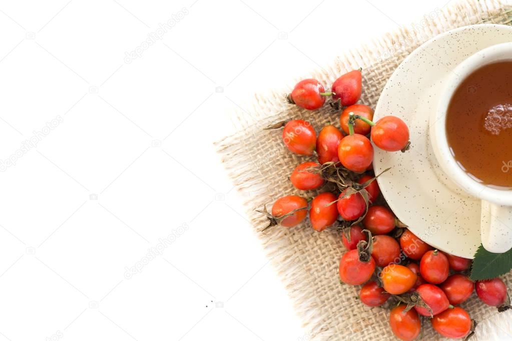 Medicinal plants and herbs composition Pile of Dog rose bunch branch Rosa canina on white