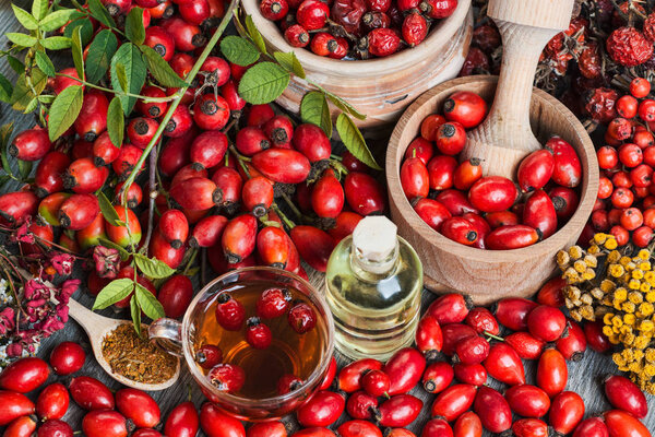 Medicinal plants and herbs composition: Dog rose, bunch branch Rosehips, types Rosa canina hips, essential oil. bunch, Tea with rosehip, Tansy, Anise, dried flowers of linden and chamomile