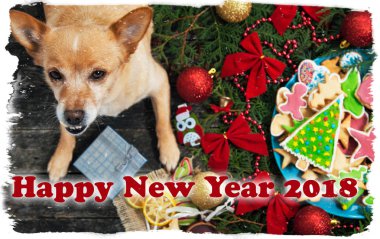 Olağandışı köpek lezzetli tatil Gingerbread çerezleri ahşap masa tablo. Mutlu Noeller ve mutlu yeni yıl kartı