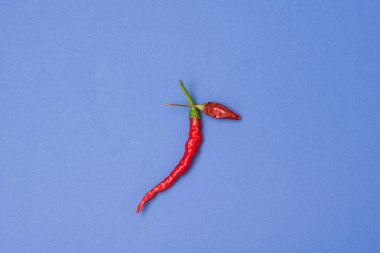 Acı biber her türlü. Biber biber arka plan 