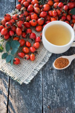 Bitkisel köpek rose çay ile grup şube kuşburnu, Rosa canina kalça, uçucu yağ türleri. Şifalı bitkiler ve otlar kompozisyon 