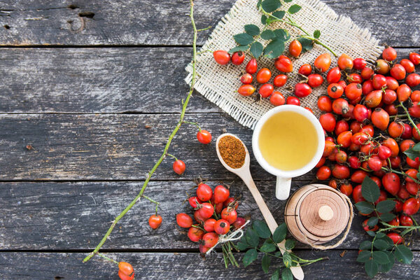 cup of herbal Dog rose tea with bunch branch Rosehips, types Rosa canina hips, essential oil. Medicinal plants and herbs composition 