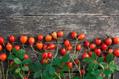 Grup şube kuşburnu, Rose'un köpek türleri Rosa canina kalça. Şifalı bitkiler ve otlar kompozisyon 