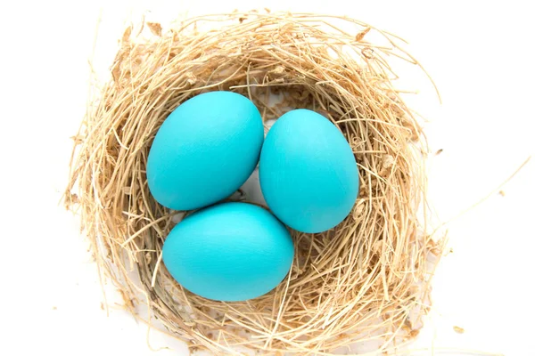 ブルー色の木製の背景 セレクティブ フォーカス画像の巣でイースターの卵 幸せなイースター カード — ストック写真
