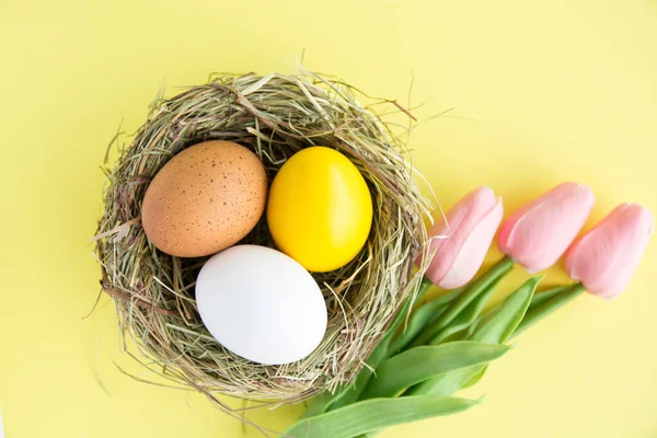 Uova Pasqua Colorate Nel Nido Sfondo Giallo — Foto Stock