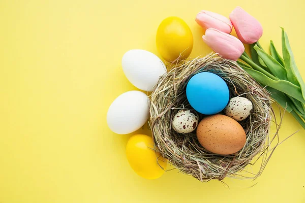 Uova Pasqua Colorate Nel Nido Sfondo Giallo — Foto Stock