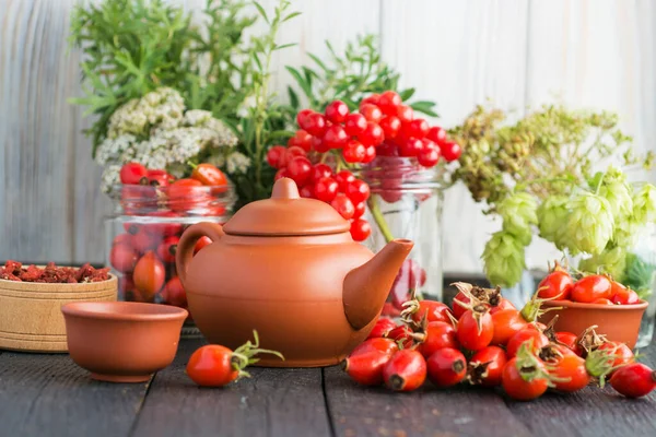 Hundsrose Strauchzweig Hagebutten Sorten Rosa Canina Hagebutten Und Kräutertee Zusammensetzung — Stockfoto