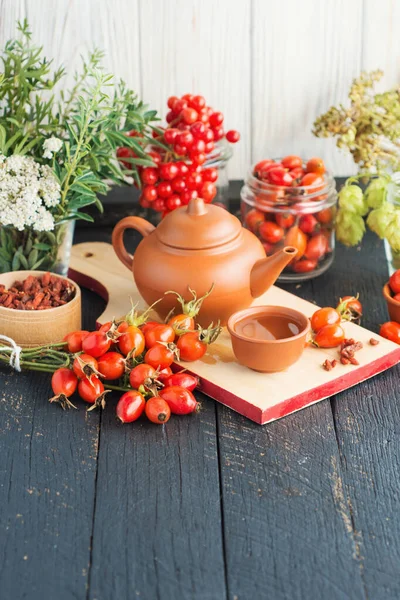 Köpek gülü, bir demet Rosehips, Rosa canina kalçası ve bitkisel çay - şifalı bitkiler bileşimi