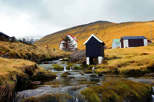 Faroe Adaları Kuzey Atlantik'teki doğası 