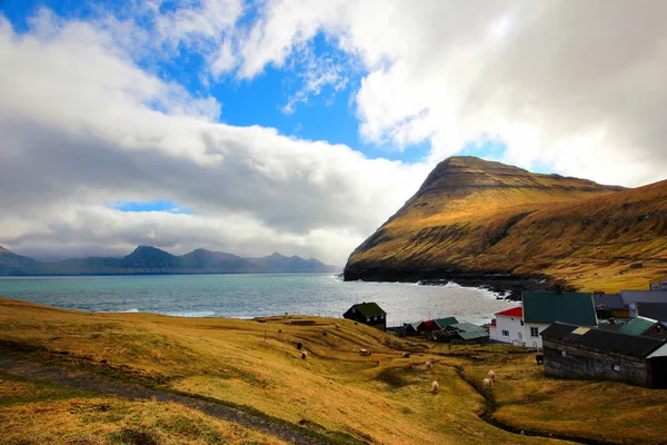 Faroe Adaları Kuzey Atlantik'teki doğası 