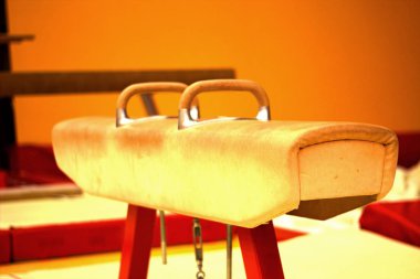 Faroe Adaları'nda bir jimnastik merkezindeki Kulplu beygir 