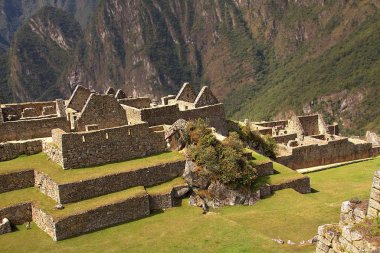 Machu Picchu Inca şehir 