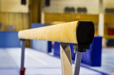 Bir spor salonu jimnastik donanımları 