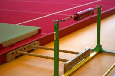 Bir jimnastik Merkezi jimnastik donanımları 