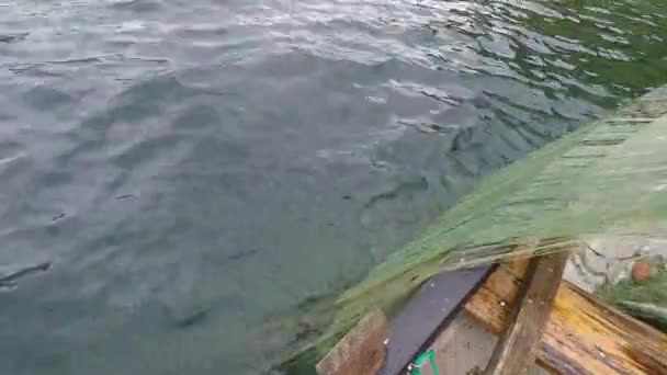 Риболовля в сільській місцевості — стокове відео