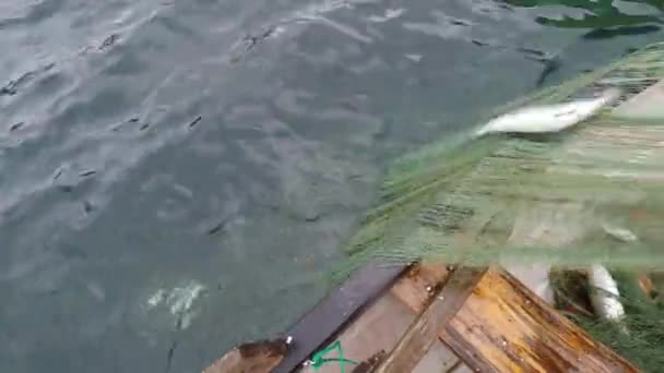 Halászati vidéken — Stock videók