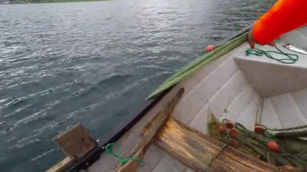 Kırsal bölgede balıkçılık — Stok video