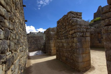 Doğa Peru 