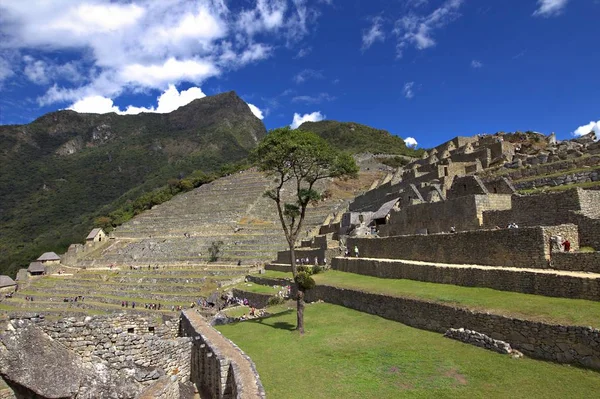 Doğa Peru — Stok fotoğraf