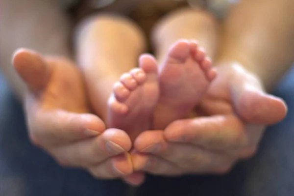 Baby feet and hands — Stock Photo, Image
