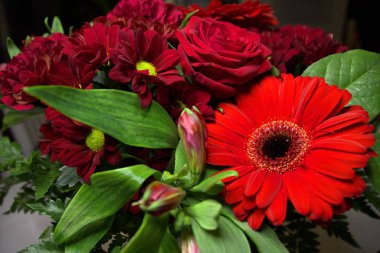 makro resim kırmızı bir çiçek