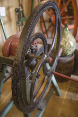 Malta 'da kazanan bir çellocu 