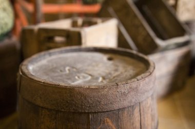 Malta 'da kazanan bir çellocu 