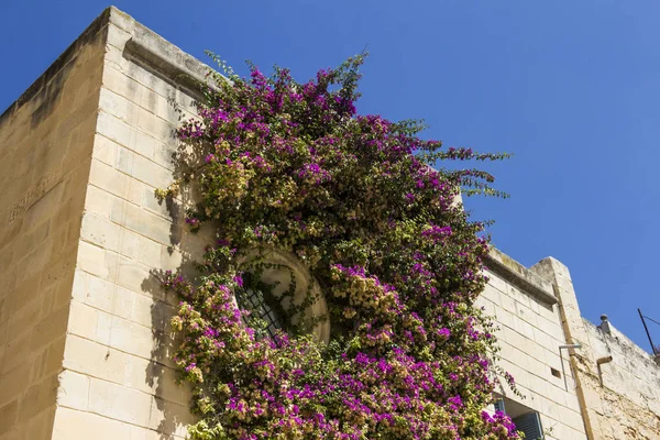 Antiguo Castillo Mdina Malta —  Fotos de Stock