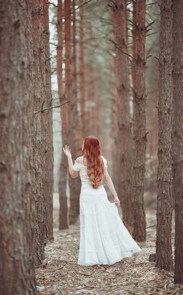 Menina de gengibre em vestido branco andando na floresta de pinheiros . — Fotografia de Stock