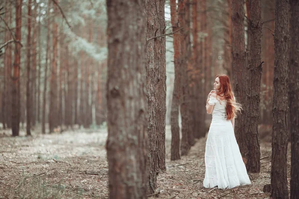 Beyaz elbiseli çam ormanda yürüyüş zencefil kız. — Stok fotoğraf