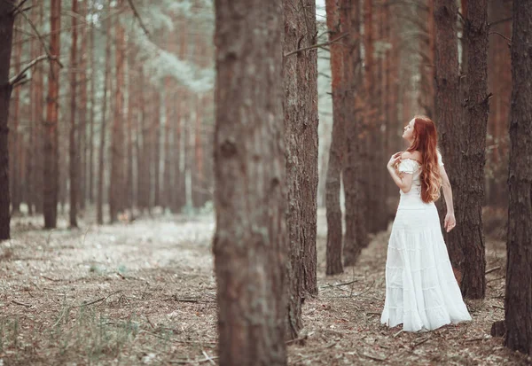 Chica pelirroja en vestido blanco caminando en el bosque de pinos . —  Fotos de Stock