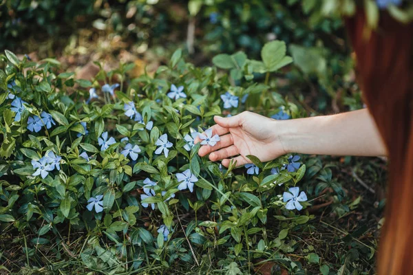 Girl sitting on the periwinkle field. — Stock Photo, Image