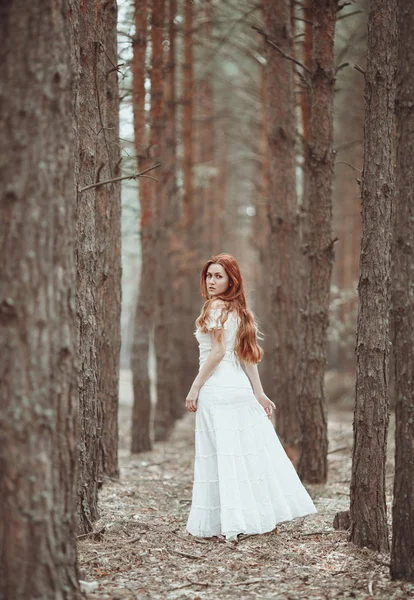 Ginger girl in white dress walking in pine forest. Stock Photo