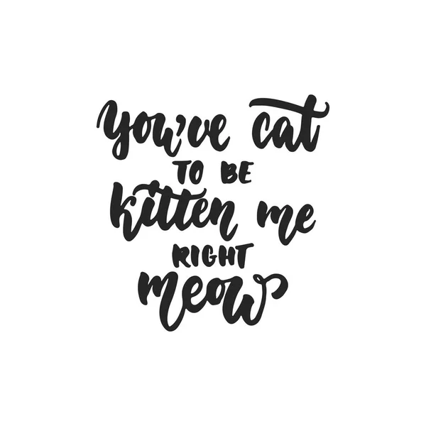 You 've cat to be kitten me right meow - cita de letras de baile dibujadas a mano aisladas en el fondo blanco. Divertida inscripción de tinta de pincel para superposiciones de fotos, tarjeta de felicitación o impresión, diseño de póster . — Vector de stock