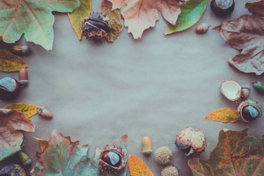 Düz kompozisyon için sonbahar tatil Şükran Günü tebrik kartları yatıyordu. Çam kozalakları, meşe dalları, meşe palamutları, yaprakları, kraft kağıt arka plan üzerinde kestane. Üstten Görünüm.