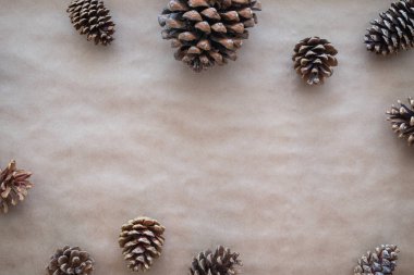 Sonbahar için kompozisyon yat ve Noel tatil tebrik kartları kış. Çam Kozalakları kraft kağıt üzerinde. Üstten Görünüm.