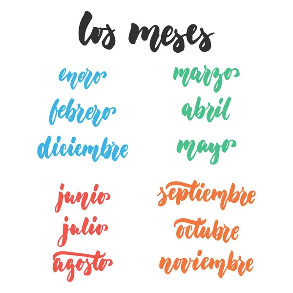 Los meses - meses em espanhol, letras latinas desenhadas à mão citações isoladas no fundo branco. Inscrição de tinta de escova divertida para cartão de saudação ou design de cartaz . —  Vetores de Stock