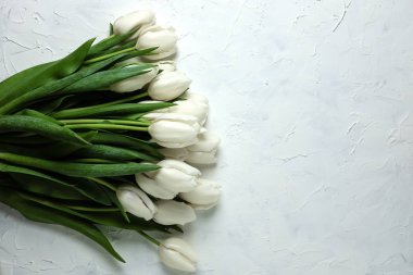 Beyaz beton zemin üzerine Beyaz Lale buketi. Üstten Görünüm. Düz yatıyordu. Paskalya, anneler günü ve bahar tatil kartpostal.