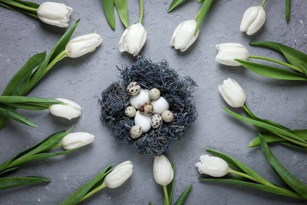 A circle of white tulips and nest with chicken and quail eggs on a gray concrete background. Top view. Flat lay. Postcard for Easter and Spring Holidays.