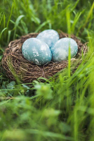 茶色の巣の中の青いテクスチャのイースターエッグは緑の新鮮な草の中にあります。春休みと卵狩りのコンセプト. — ストック写真
