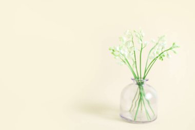 Anneler Günü, düğün, 8 Mart kutlamaları için bej arka planda vadideki beyaz zambaklı tebrik kartı. Doğa konsepti. Ev bahçesi vazoda. Yaz yeşili çiçek tasarımı. Seçici odak.