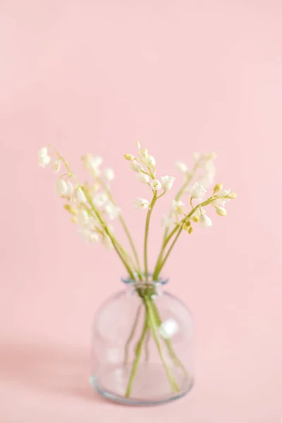 Ευχετήρια κάρτα με λευκό κρίνο της κοιλάδας σε ροζ φόντο για τον εορτασμό της Μέρας, γάμος, 8 Μαρτίου. Έννοια της φύσης. Κήπος στο βάζο. Καλοκαιρινό πράσινο σχέδιο λουλουδιών. Επιλεκτική εστίαση. — Φωτογραφία Αρχείου