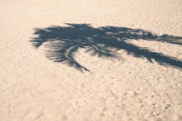 Sombra de palmera en la arena junto al mar. Concepto de vacaciones de verano por mar o océano . —  Fotos de Stock