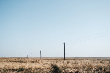 Kuru otlar ve elektrik direkleriyle bozkırda bir tarla..