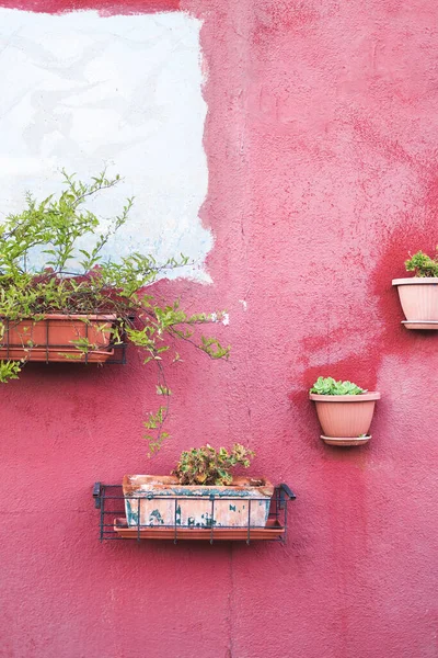 Parede de concreto com flores em vasos textura superficial. Parede típica da casa veneziana italiana. Abstrato grunge fundo de cor brilhante com efeito de envelhecimento. Espaço de cópia . — Fotografia de Stock