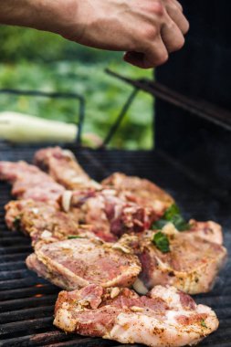 Et biftekleri bir sokak ızgarasında kızartılır. Adam barbekü pişiriyor ve baharat ekliyor. Doğada yaz pikniği.