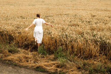 Beyaz keten elbiseli genç bir kadın olgun altın buğday başaklarıyla tarlada yürüyor. Hasat, açık hava eğlencesi..